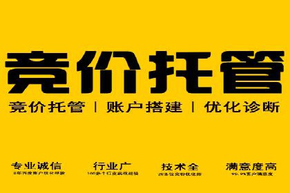 百度竞价广告的关键词策略与优化——以某行业为例